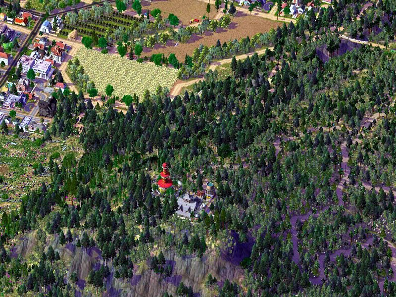 Ashramforest.JPG