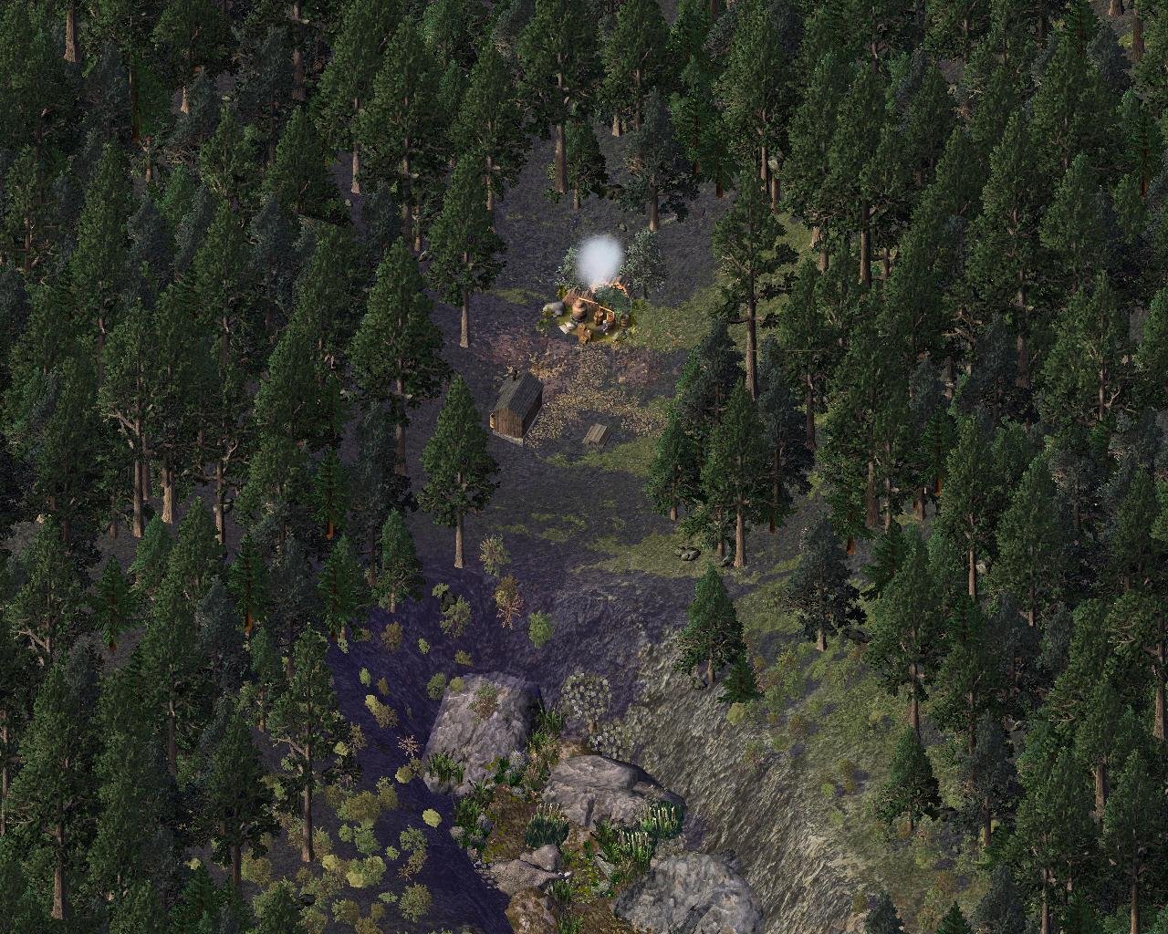 mule_6.JPG