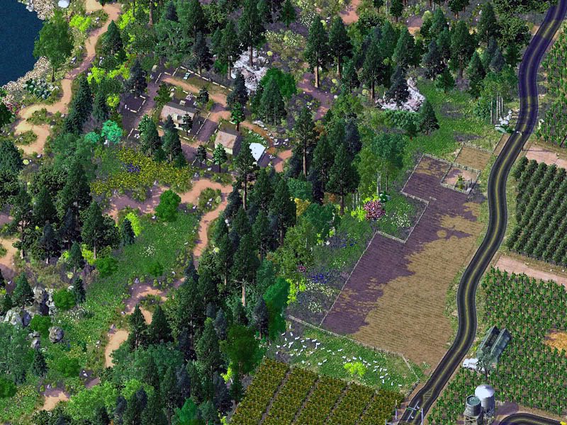 7trailfield.JPG