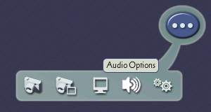 SC4 Audio Options Button.png