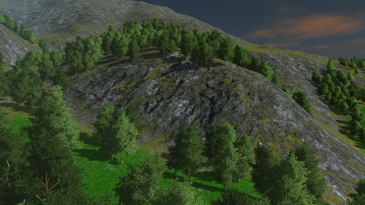 06.jpg