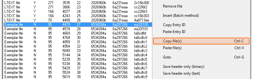 Reader Copy Exemplar Example.png