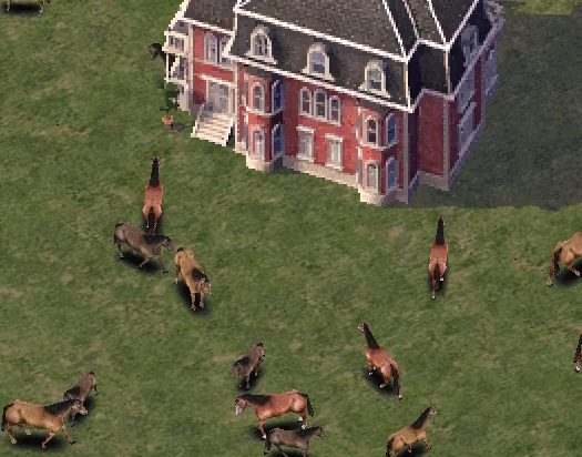 IGLE_Horses.gif