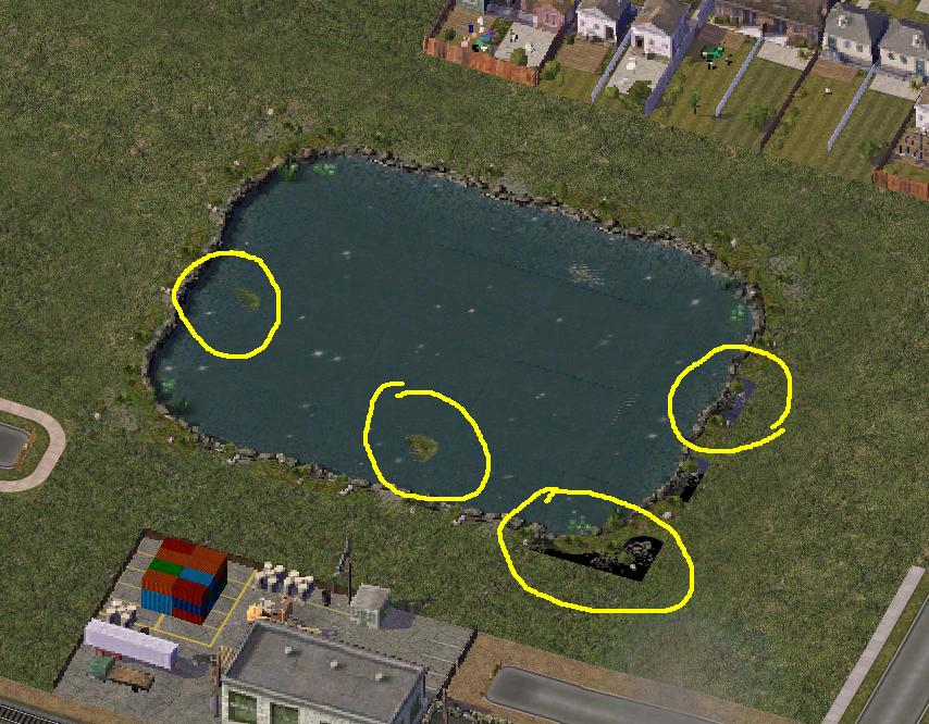 ponds.JPG.6aff96c28cf5dd2dd4b8a534815ab83e.JPG