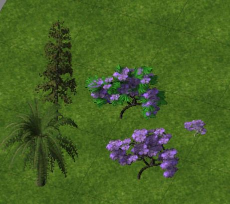 6067c404b754b_Jacarandaingame.JPG.d5d2b73c99c3a99eb1624457e3df685f.JPG