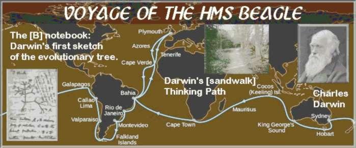 darwin_beagle_galapagos_b_notebook_sandwalk.jpg.4a6af437e474a242d910853c0ecf564b.jpg