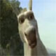 Aronion