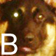 CaseyBleu