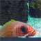 anandus