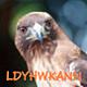ldyhwkann