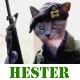 Hester