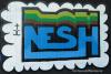 thenesh74