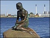 Sortsdam