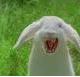lightningrabbit00k