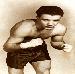 thebronxbull