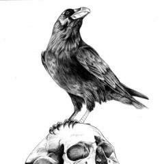 Yarahi