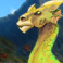 leeor_net