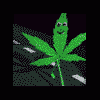DICK60