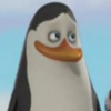 KowalskiPenguin10897