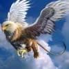Griffon