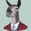 LlamaDeluxe