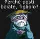 Scafu