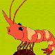 windyshrimp