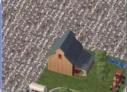 Rachels Cotton Field