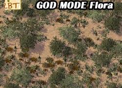 HBS Chihuahuan Desert Flora Mod