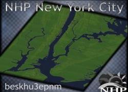 NHP New York City by beskhu3epnm