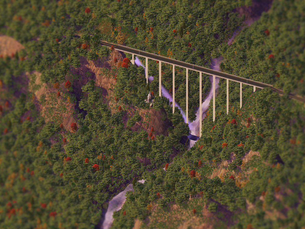 Forest Bridge
