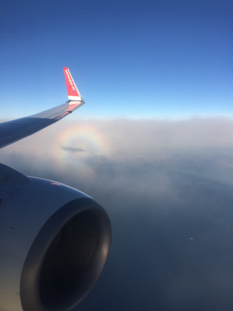 Norwegian | B737-800