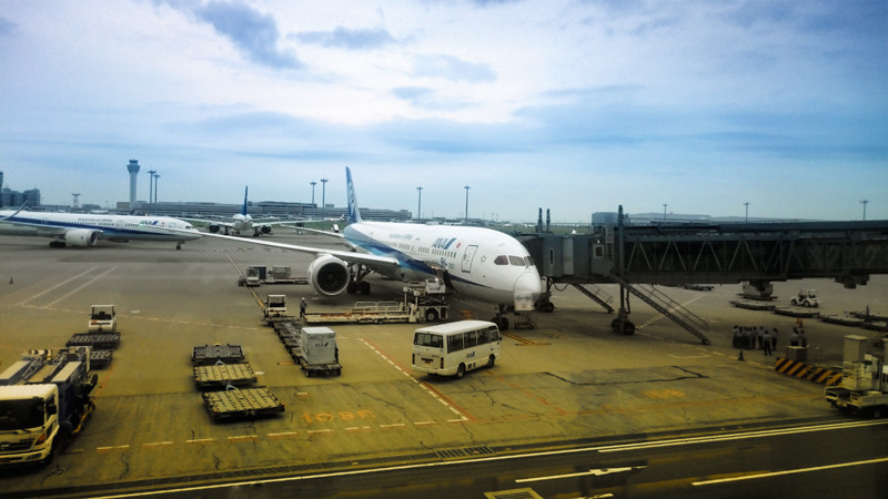 All Nippon Airways Flight 115