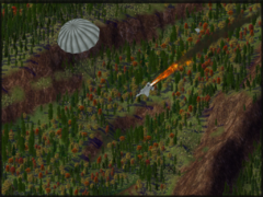 The Fallen Eagle