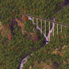 Forest Bridge