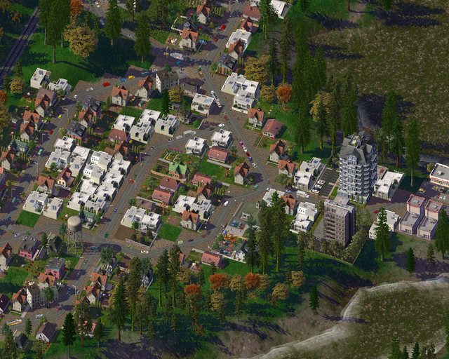 Mont Real Woods 06.jpg