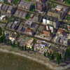 Mont Real Woods 11.jpg
