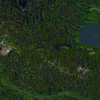 Mont Real Woods 15.jpg