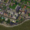 Mont Real Woods 04.jpg
