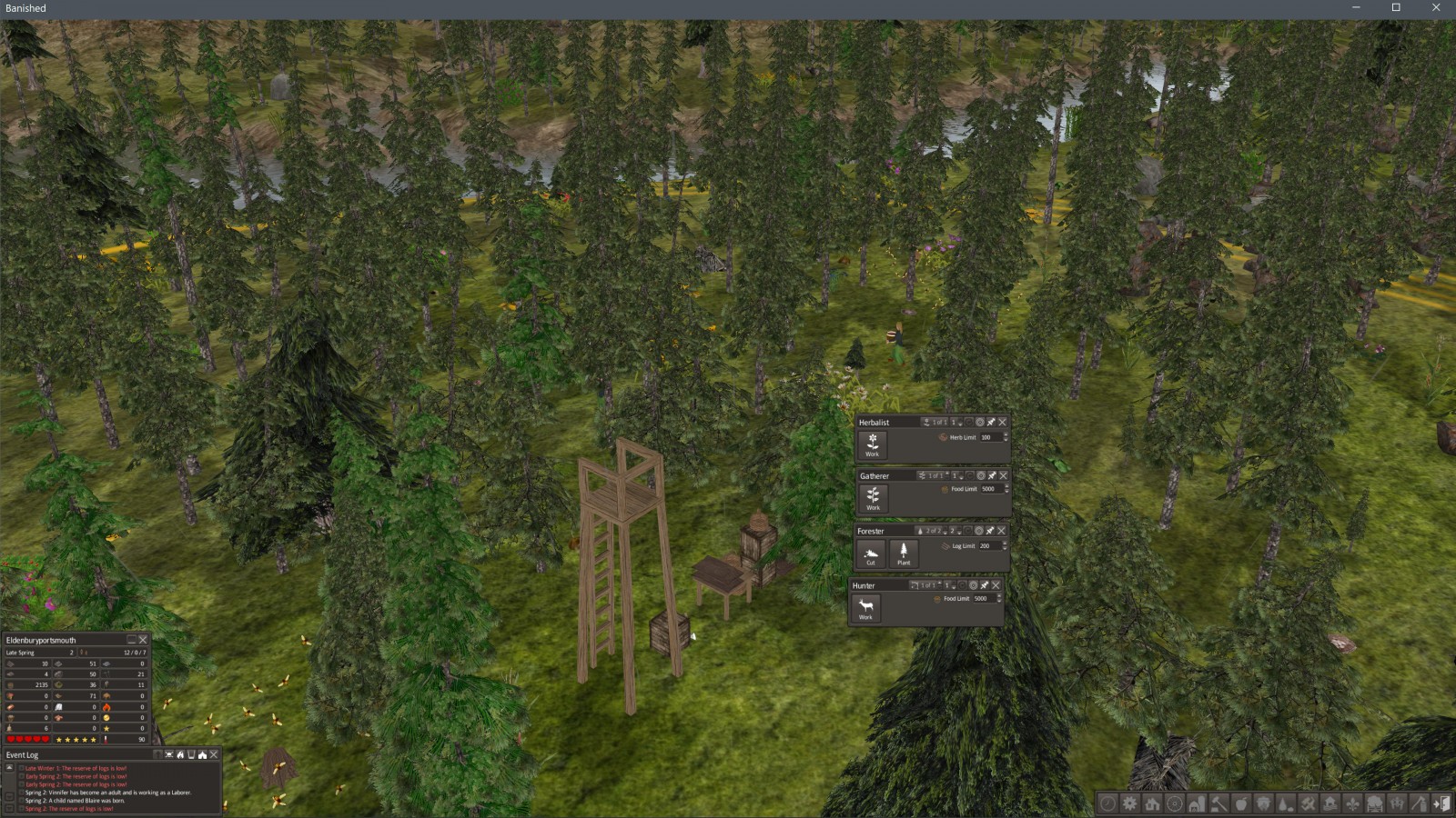 in the forest
