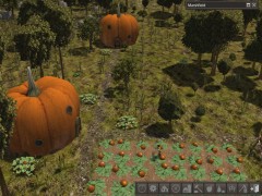 Pumpkin Houses in Story 70.jpg