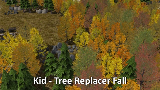 KidTreeReplacerFall.jpg