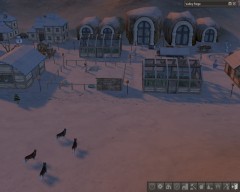 Wolves in Story 77.jpg